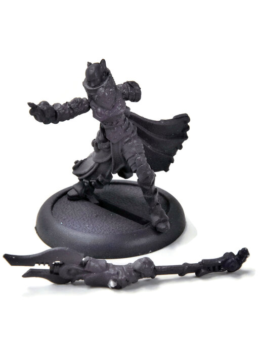 WARMACHINE Magister Helyanna #3 Retribution of Scyrah