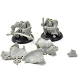 WARMACHINE Iron Fang Officer & Standard #1 khador