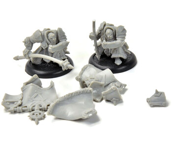 WARMACHINE Iron Fang Officer & Standard #1 khador