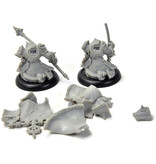 WARMACHINE Iron Fang Officer & Standard #1 khador