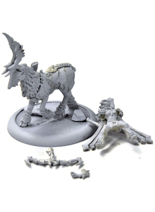 HORDES Annyssa Ryvaal #1 METAL legion of everblight
