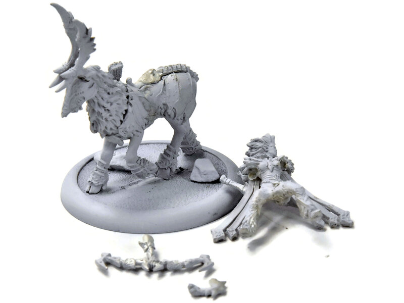 HORDES Annyssa Ryvaal #1 METAL legion of everblight