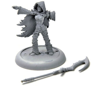 HORDES Blighted Nyss Sheperd #1 METAL legion of everblight