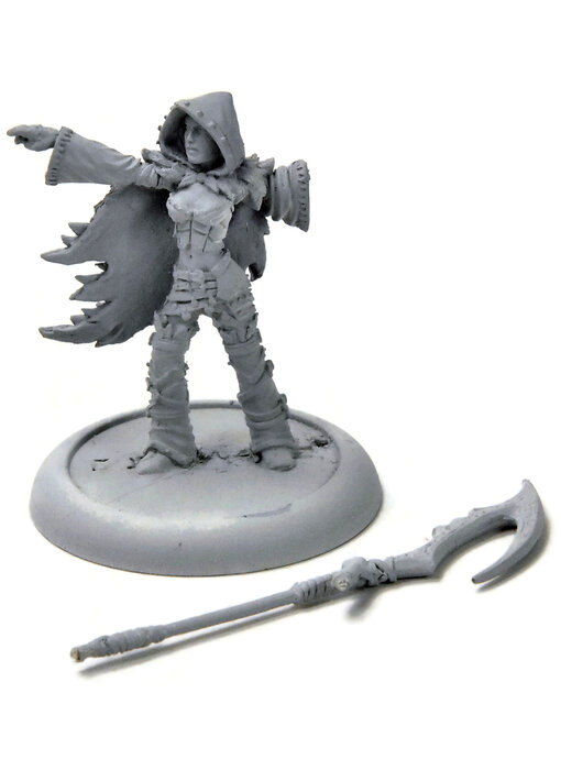 HORDES Blighted Nyss Sheperd #1 METAL legion of everblight