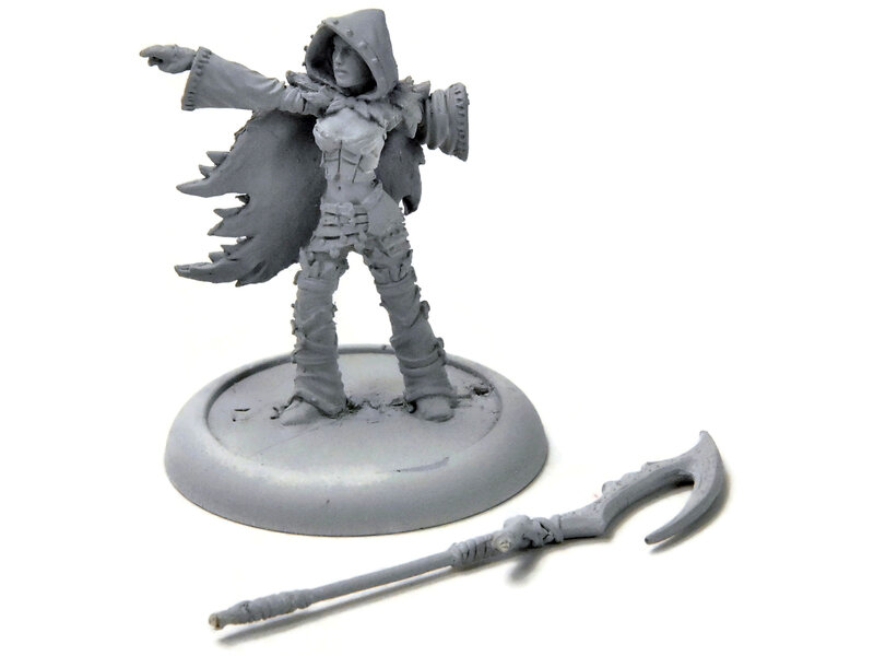 HORDES Blighted Nyss Sheperd #1 METAL legion of everblight