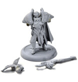 WARMACHINE Dawnlord Vyros #1 METAL retribution