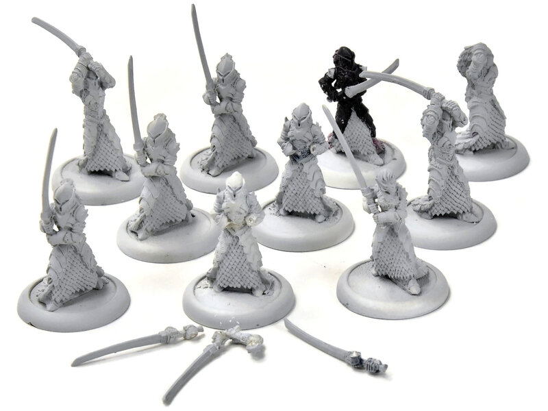 HORDES Blighted Nyss Legionnaires #1 METAL legion of everblight