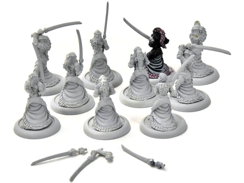 HORDES Blighted Nyss Legionnaires #1 METAL legion of everblight