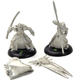 HORDES Captain Farillon & Standard Bearer #1 METAL legion of everblight