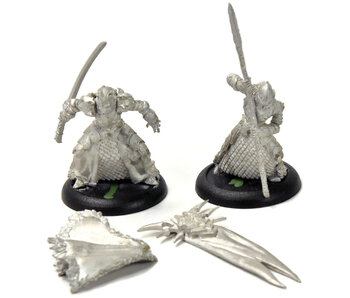 HORDES Captain Farillon & Standard Bearer #1 METAL legion of everblight