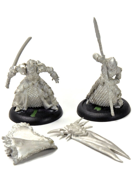 HORDES Captain Farillon & Standard Bearer #1 METAL legion of everblight