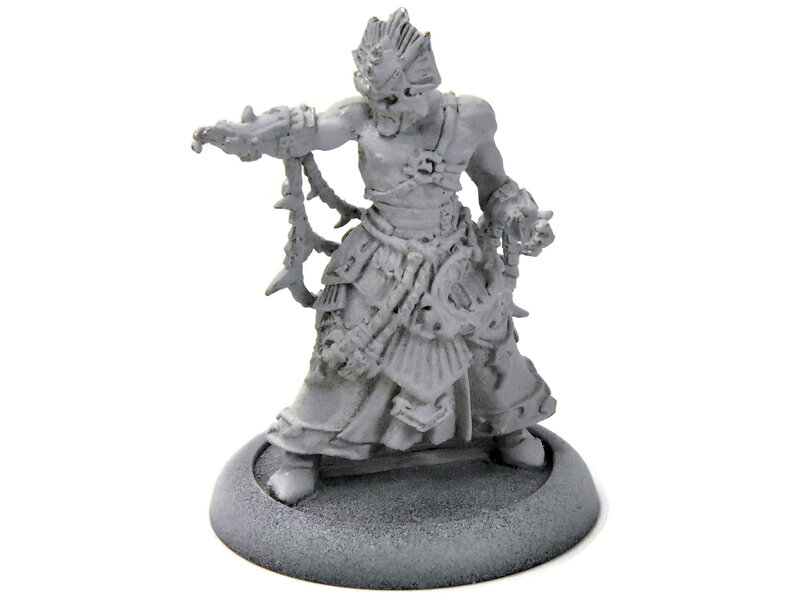 HORDES Mortitheurge Willbreaker #1 METAL skorne