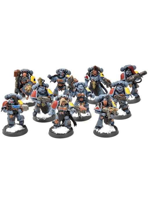 SPACE WOLVES 10 Grey Hunters #2 WELL PAINTED Warhammer 40K