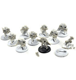 HORDES 10 Reeves of Orboros #1 Circle Orboros