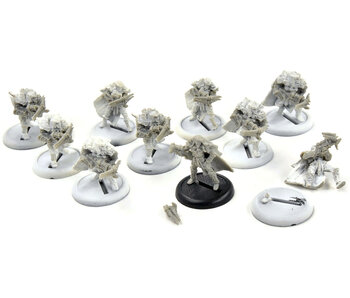 HORDES 10 Reeves of Orboros #1 Circle Orboros