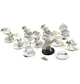 HORDES 10 Reeves of Orboros #1 Circle Orboros