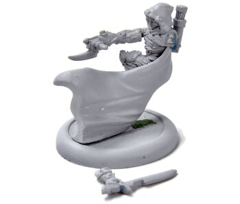 WARMACHINE Eiryss. Mage Hunter of Ios #1 METAL mercenairies
