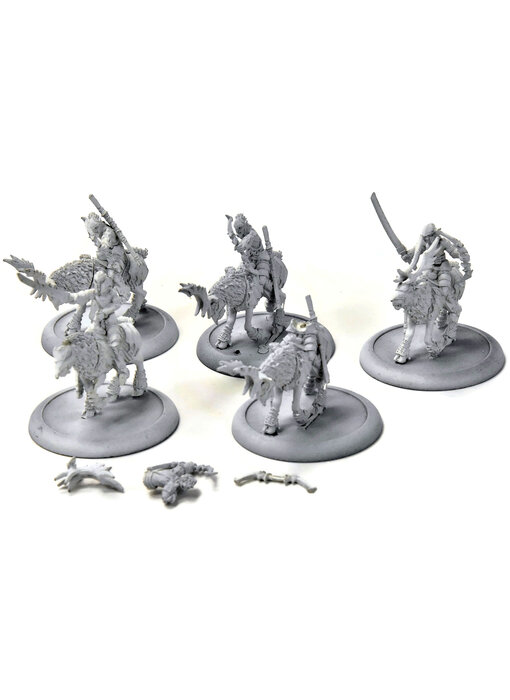 HORDES 5 Nyss Raptors #1 METAL legion of everblight