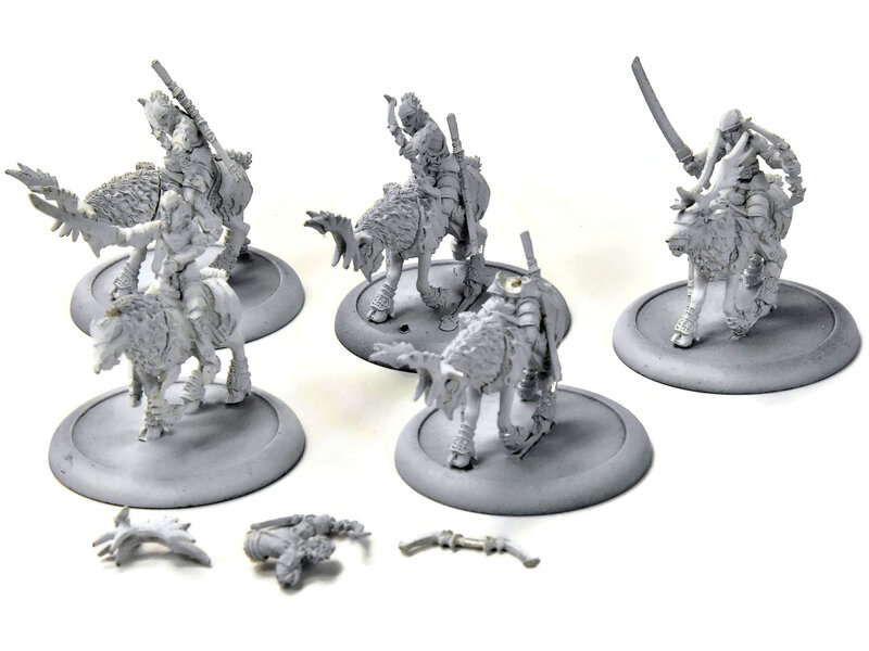 HORDES 5 Nyss Raptors #1 METAL legion of everblight