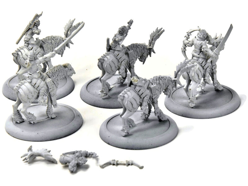 HORDES 5 Nyss Raptors #1 METAL legion of everblight