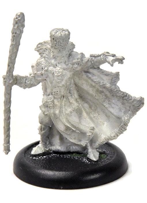 WARMACHINE Greylord Escort #1 METAL khador