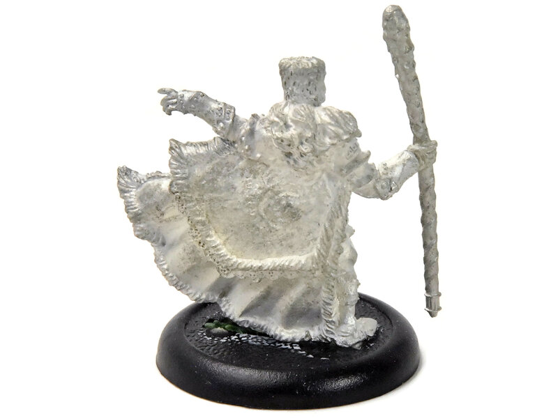 WARMACHINE Greylord Escort #1 METAL khador