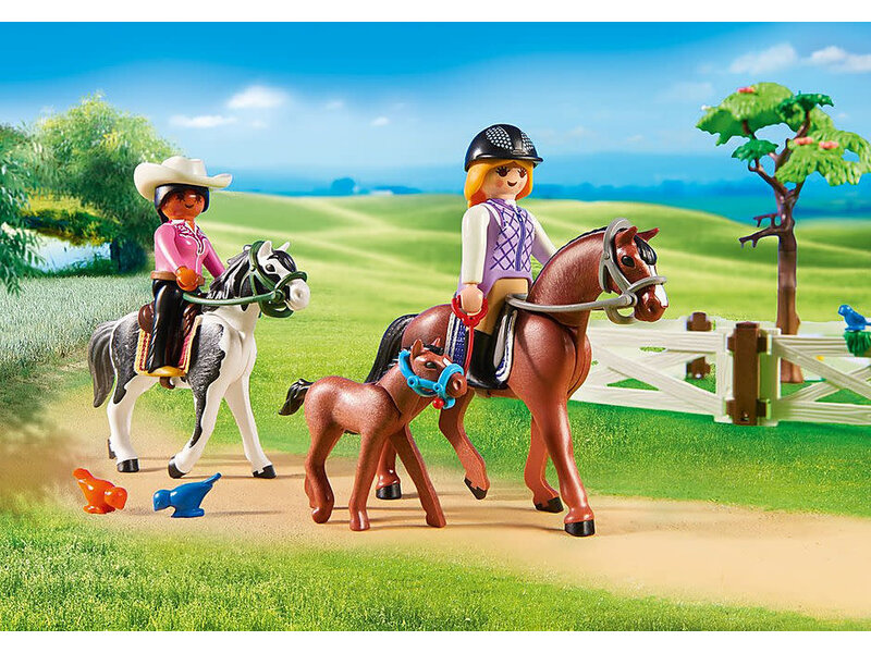 Playmobil Horse Farm (6926)