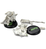 HORDES Reeves of Orboros Chieftain & Standard #1 METAL Circle Orboros