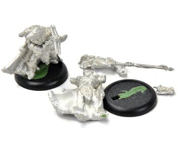 HORDES Reeves of Orboros Chieftain & Standard #1 METAL Circle Orboros