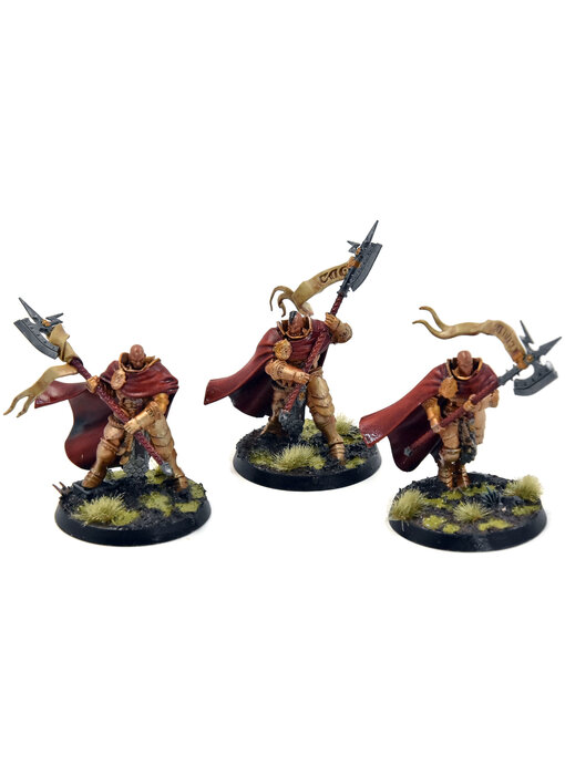 STORMCAST ETERNALS 3 Praetors #1 WELL PAINTED Sigmar