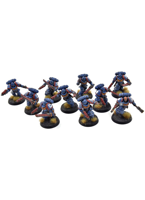 SPACE MARINES 10 Assault Intercessors #1 WELL PAINTED Ultramarines 40K