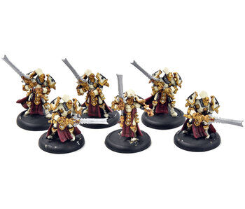 WARMACHINE 6 Knight Exemplar #1 protectorate of menoth WELL PAINTED