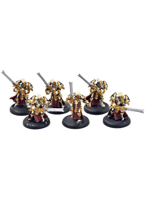 WARMACHINE 6 Knight Exemplar #1 protectorate of menoth WELL PAINTED