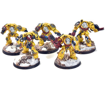 SPACE MARINES 5 Terminators #1 WELL PAINTED Imperial Fists