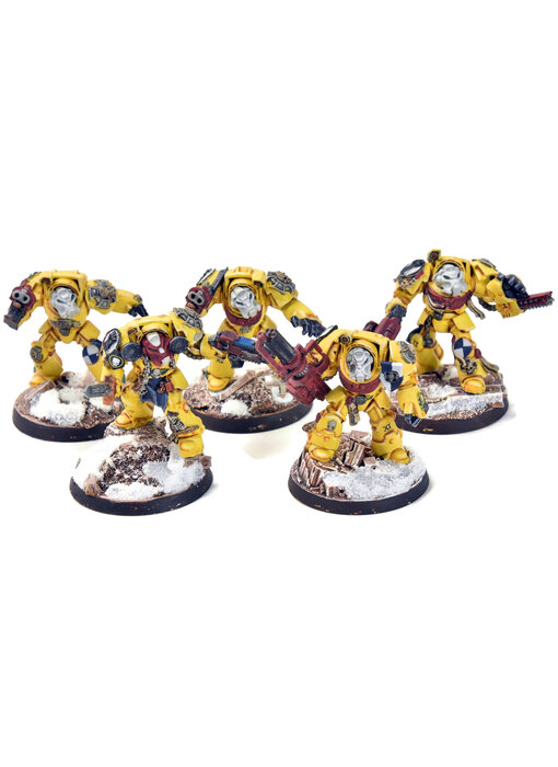 SPACE MARINES 5 Terminators #1 WELL PAINTED Imperial Fists
