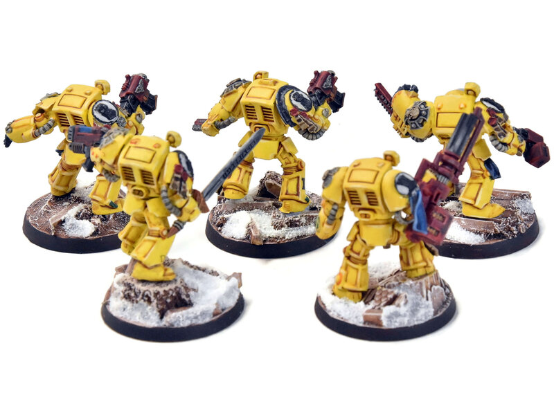 Games Workshop SPACE MARINES 5 Terminators #1 WELL PAINTED Imperial Fists