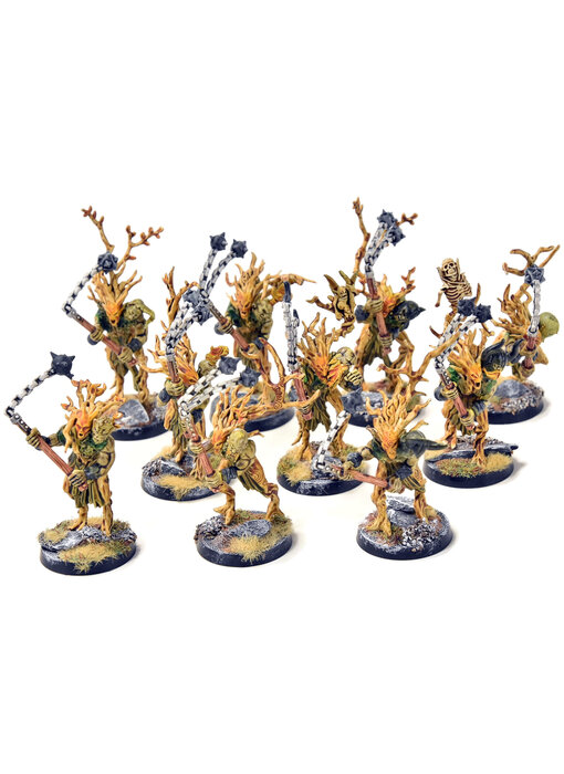 SLAVES TO DARKNESS 10 Chaos Marauders #2 Converted SIGMAR