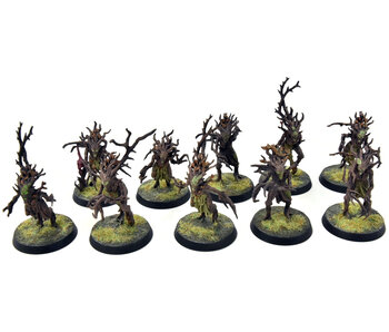 SYLVANETH 10 Dryads #1 WELL PAINTED Sigmar