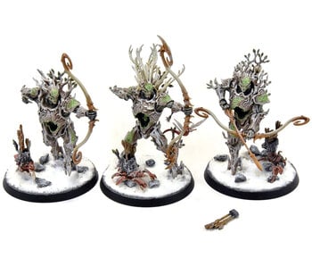 SYLVANETH 3 Kurnoth Hunters #3 WELL PAINTED Sigmar