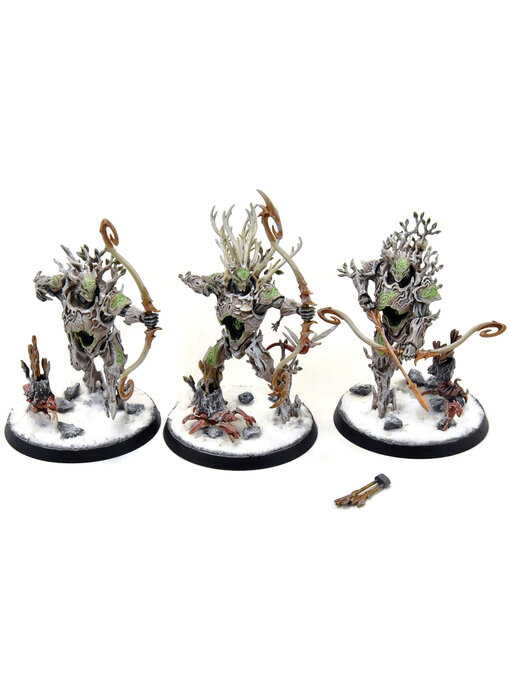 SYLVANETH 3 Kurnoth Hunters #3 WELL PAINTED Sigmar