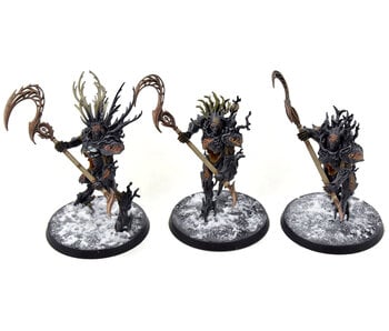 SYLVANETH 3 Kurnoth Hunters #5 WELL PAINTED Sigmar