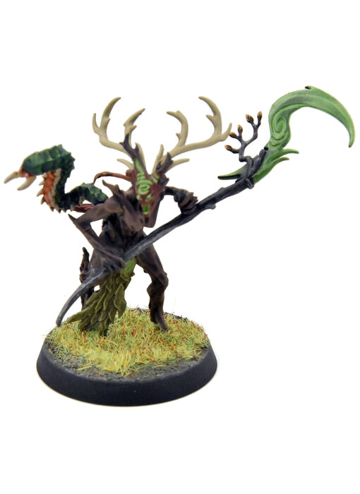 SYLVANETH Branchwych #2 WELL PAINTED Sigmar