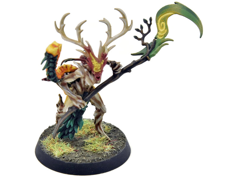 Games Workshop SYLVANETH Branchwych #1 WELL PAINTED Sigmar