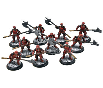 WARMACHINE 10 Steelhead Halberdiers #1 WELL PAINTED METAL mercenairies