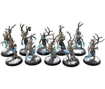 SYLVANETH 10 Dryads #5 WELL PAINTED Sigmar