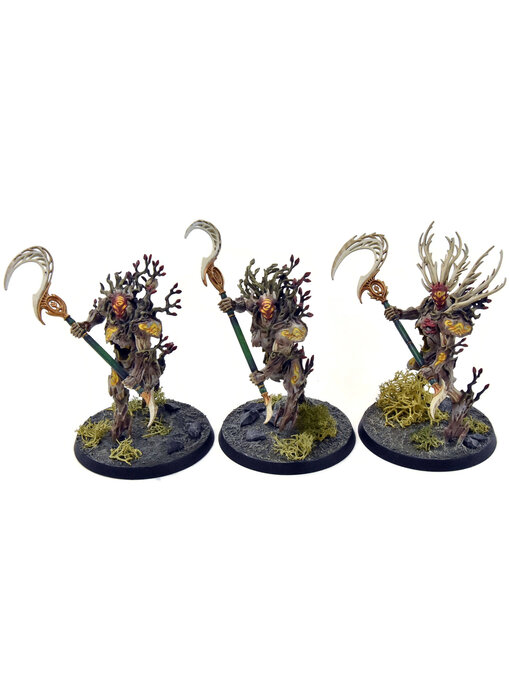 SYLVANETH 3 Kurnoth Hunters #2 WELL PAINTED Sigmar