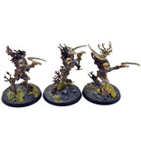 Games Workshop SYLVANETH 3 Kurnoth Hunters #2 WELL PAINTED Sigmar