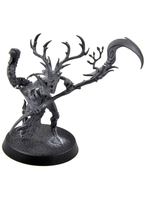 SYLVANETH Branchwych #1 Sigmar