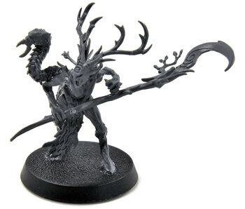 SYLVANETH Branchwych #2 Sigmar