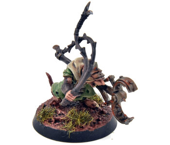 SKAVEN Packmaster #1 PRO PAINTED Sigmar